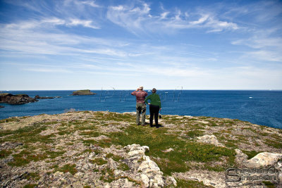 03827_nfld_.jpg