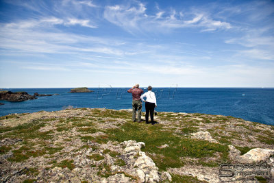 03827_nfld_ds.jpg