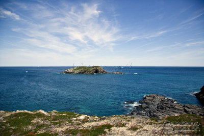 03830_nfld_ds.jpg