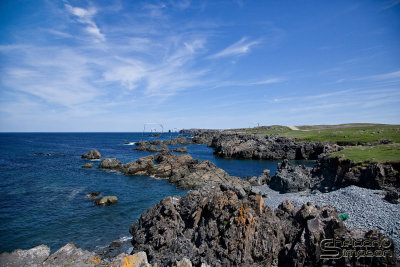 03838_nfld_ds.jpg
