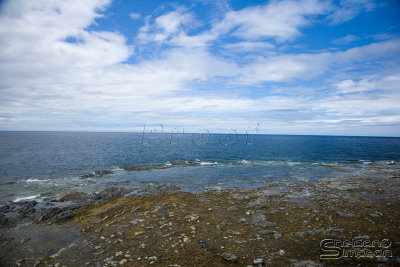 04251_nfld_ds.jpg