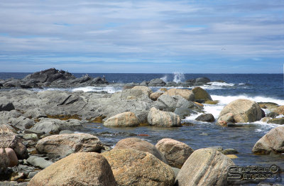 04264_nfld_ds.jpg