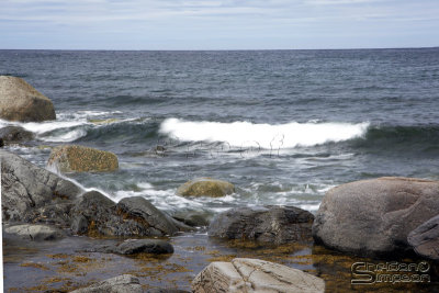 04270_nfld_ds.jpg