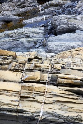 04279_nfld_ds.jpg