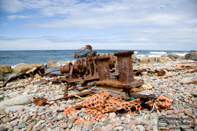 04308_nfld_ds-2.jpg