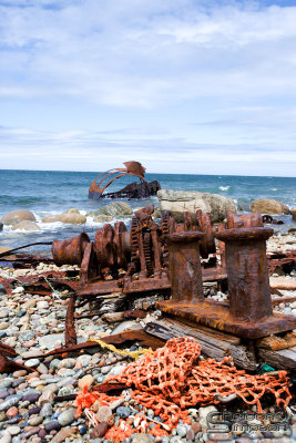 04316_nfld_ds.jpg