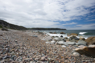 04320_nfld_ds.jpg