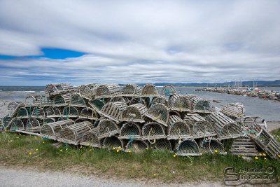 04339_nfld_ds.jpg