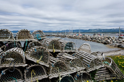 04343_nfld_ds.jpg