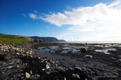 04361_nfld_ds.jpg