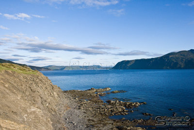 04366_nfld_ds.jpg