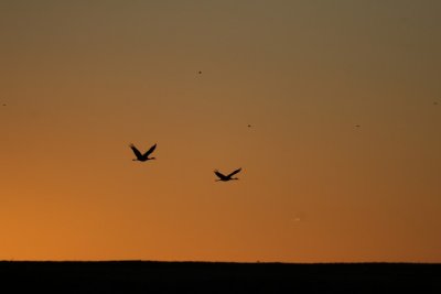 manip_IMG_2611.JPG