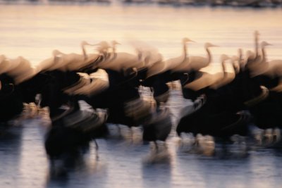manip_IMG_2323.JPG