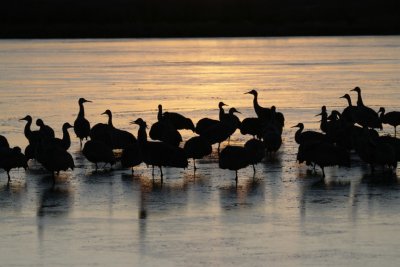 manip_IMG_2679.JPG