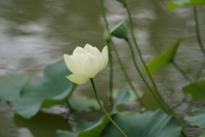 manip_IMG_8333-3.jpg