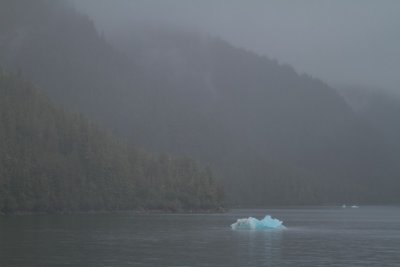 Floating Icebergs