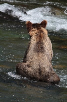 Katmai National Park