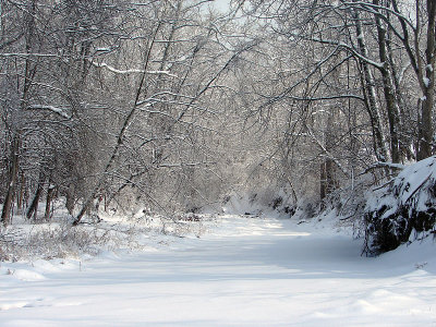 The Creek's Frozen Path