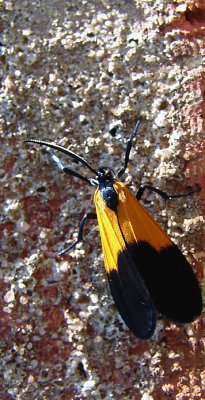 g1/18/25118/3/117282094.LECPrwGk.jpg