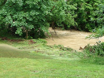 Receding creek waters