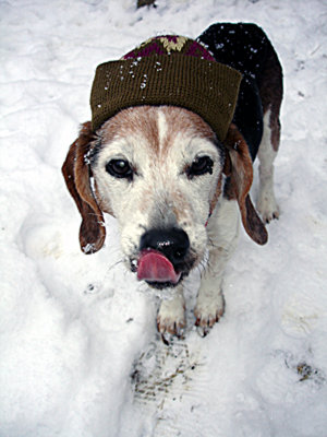 Mmmmm!  Snow!