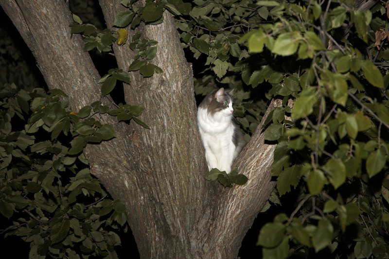 I feel much safer up here.