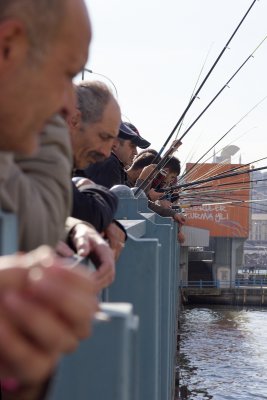 Istanbul Fishing from Galata bridge