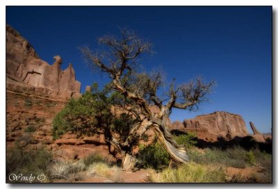 Arches National Park, Utah