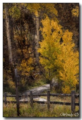 Near Aspen, Colorado