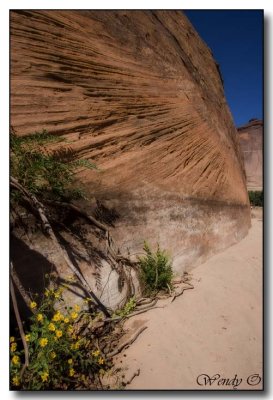 Canyon de Chelly National Monument, Arizona