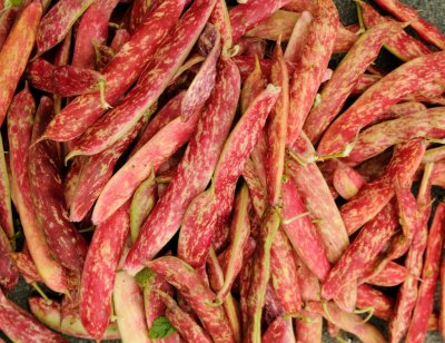 9622 Borlotti beans.jpg