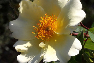 IMG_0569 copy.jpg