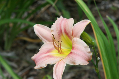 g1/18/324918/3/125481372.EWGNA7JS.jpg