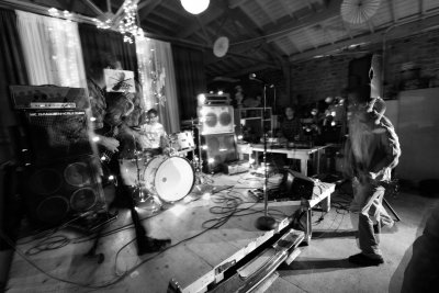 AnimalLover-ArtBeat09282012-09.jpg