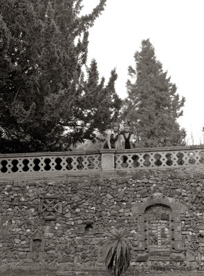 garden2.jpg