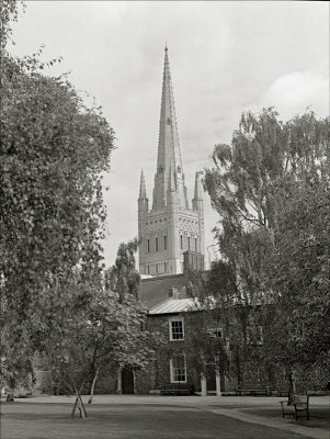 Norwich Cathedral