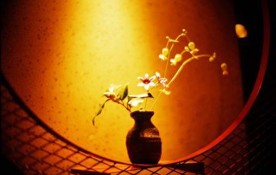 200801-M3-E100VS-NOCT-13c016 copy.jpg