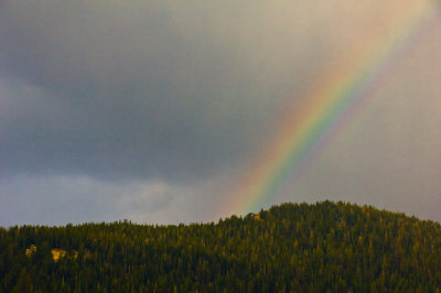 8212-Rainbow.jpg
