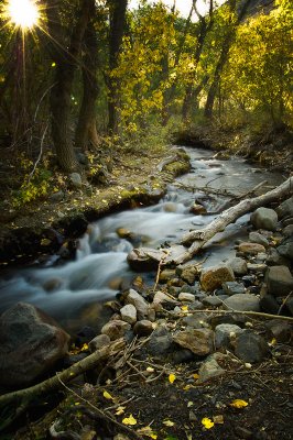 7932--McGee-Creek.jpg