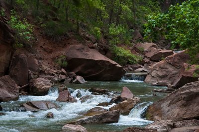 8217-Zion-River.jpg