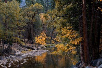 5844-River-Reflections.jpg