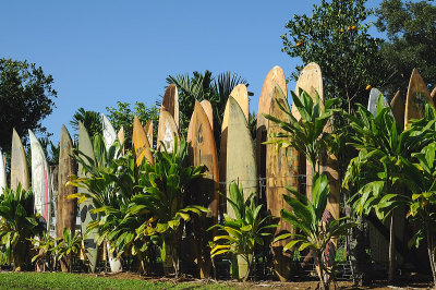 1554-Surfboard-Fence.jpg