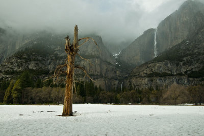 3680 Yosemite Falls.jpg