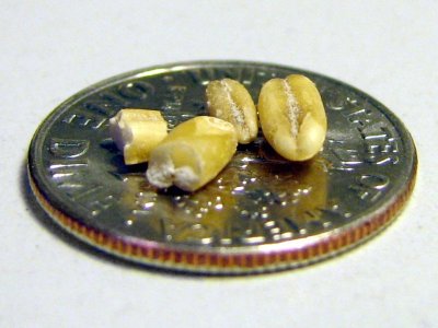 img_6745groats.jpg