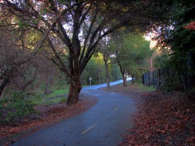 img_6842north.jpg