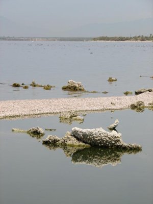 img_8004.jpg
