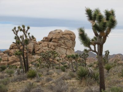 img_8111.jpg