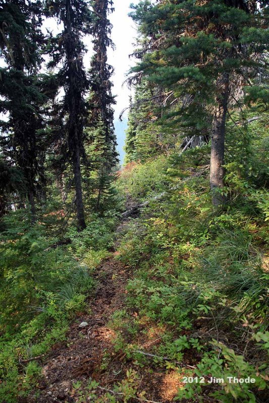 IMG_6126.jpg