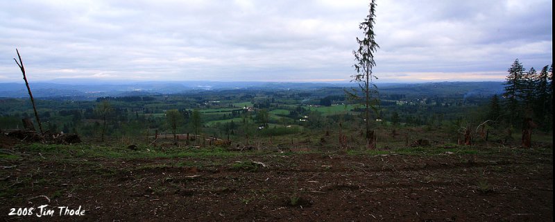 Evening View