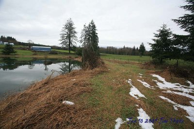 IMG_3700.jpg